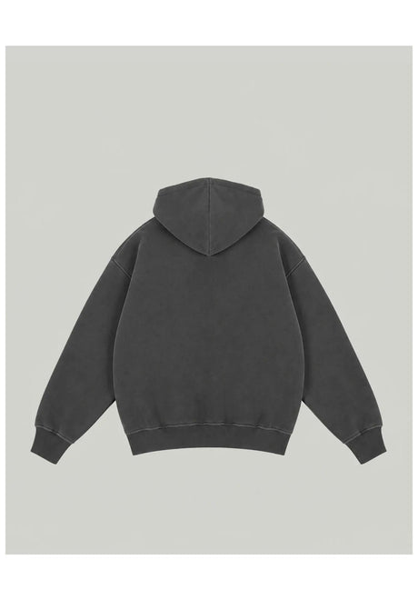 Homeboy Shy Logo Hood Hoodie grey-washed – Set bagfra