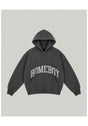 Shy Logo Hood grey-washed Vorderansicht