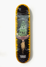 JART Stay High Tabla assorted – Vista frontal