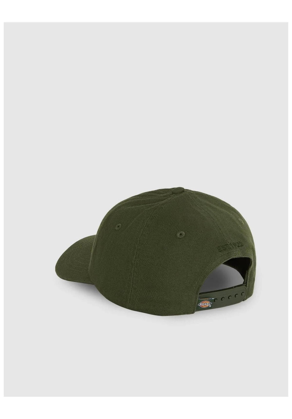 Dickies Hardwick Cap deepdepths – Back view