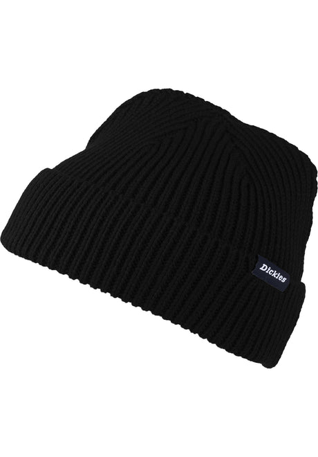 Dickies Woodworth Beanie black – Front view
