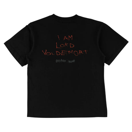 x Harry Potter Voldemort black Rueckenansicht