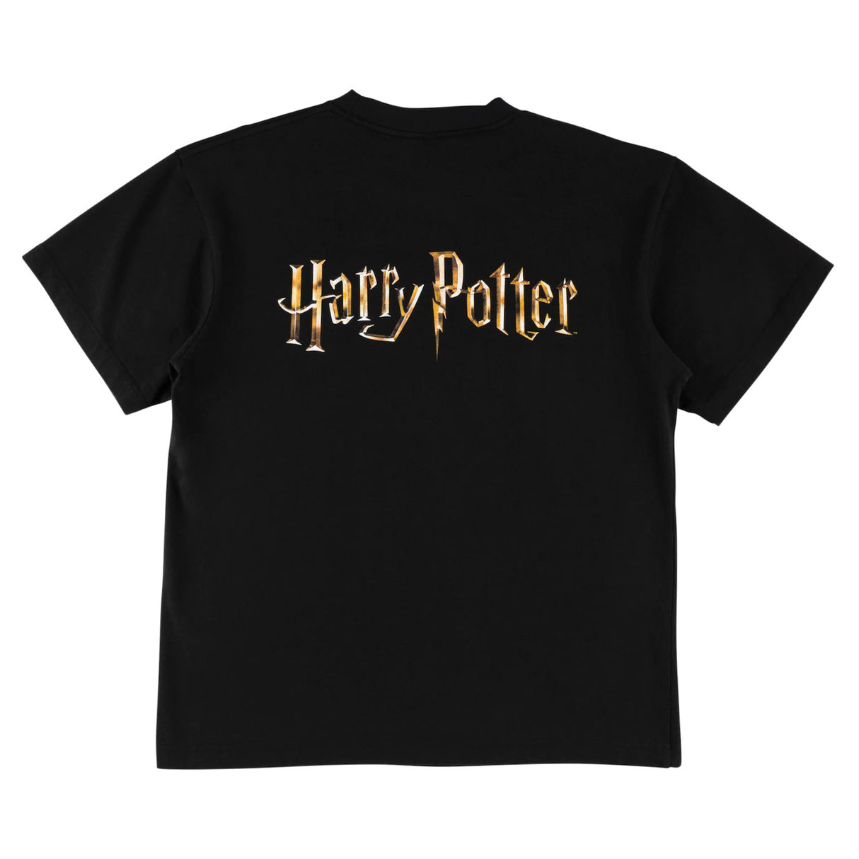 x Harry Potter Arrival black Rueckenansicht