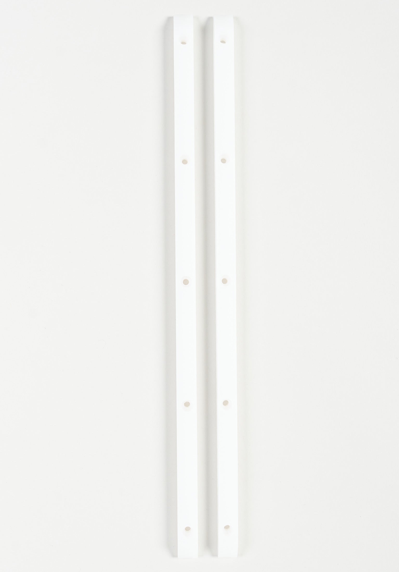 Rib Bones Powell-Peralta Skate Accessory in white – TITUS