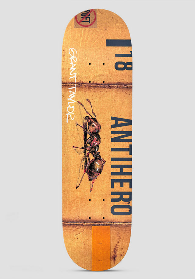 Taylor Intermodal multicolored Vorderansicht