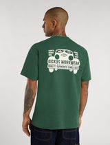 Gordonsville pineneedlegreen Vorderansicht