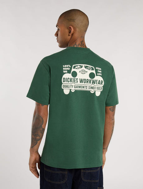 Gordonsville pineneedlegreen Vorderansicht