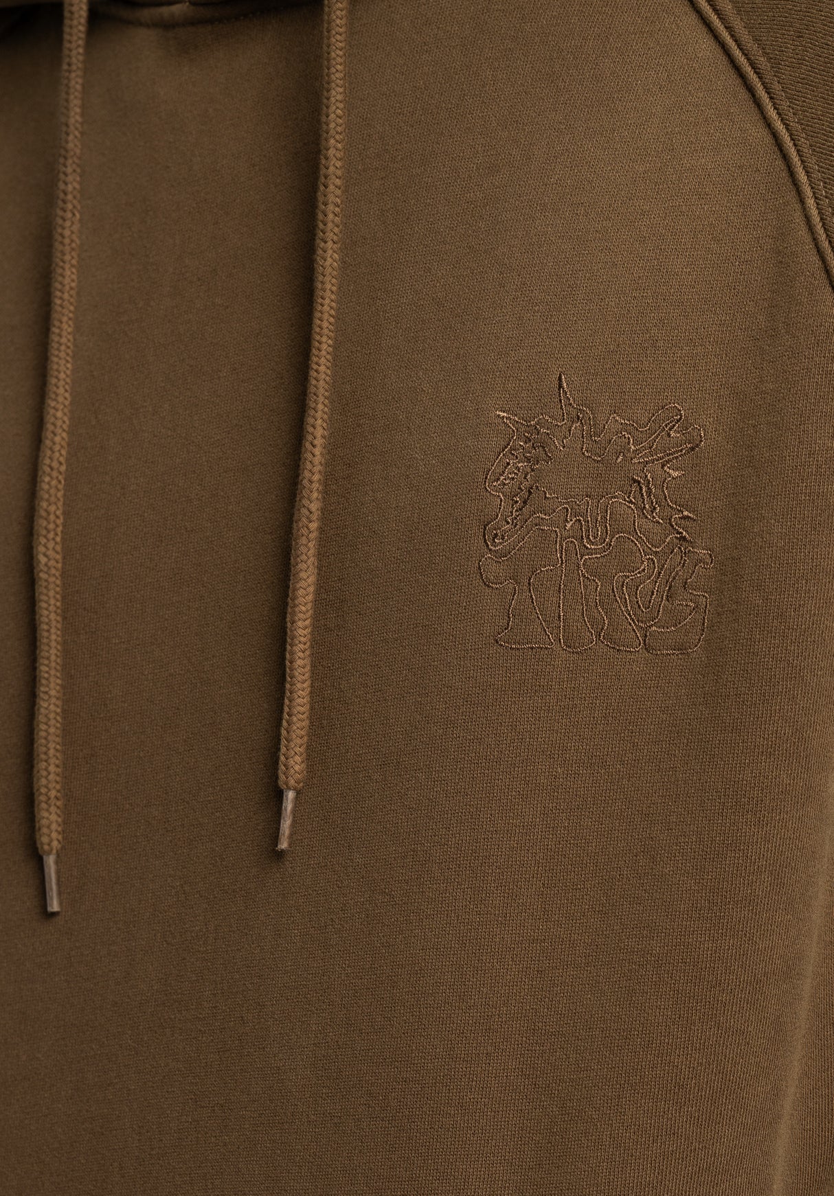 Spider olivefaded Closeup2