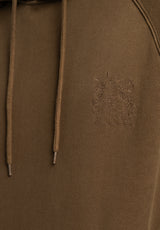 Spider olivefaded Closeup2