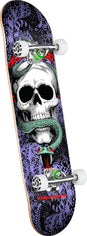 Skull & Snake purple-mint Vorderansicht
