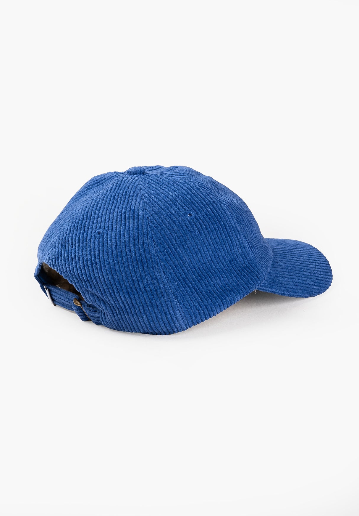 HXGN Icon Dad Cap future-blue-cord Rueckenansicht