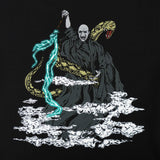 x Harry Potter Voldemort black Closeup1