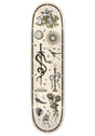 Walker Engraved natural Vorderansicht