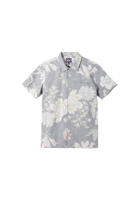 Hawkmoth black Vorderansicht