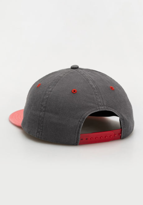 Polar Speed Club grey-red Rueckenansicht