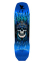 Andy Anderson Heron Skull blue-foil Vorderansicht