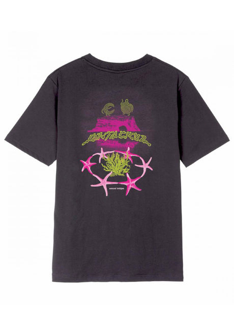 Santa-Cruz Natural Bridges T-shirt blackwash – Vista frontale