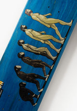 Involution assorted Closeup1