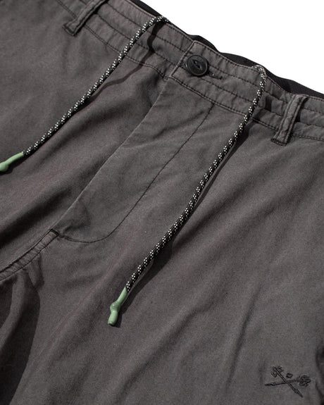 Hydrochino black Closeup1