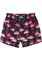 Flamingos black Vorderansicht
