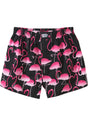 Flamingos black Vorderansicht