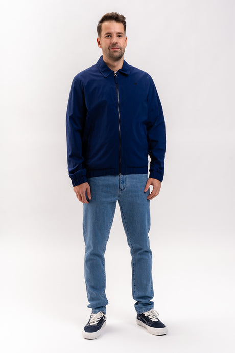 Echis steelblue Vorderansicht