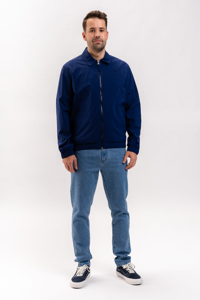Echis steelblue Vorderansicht