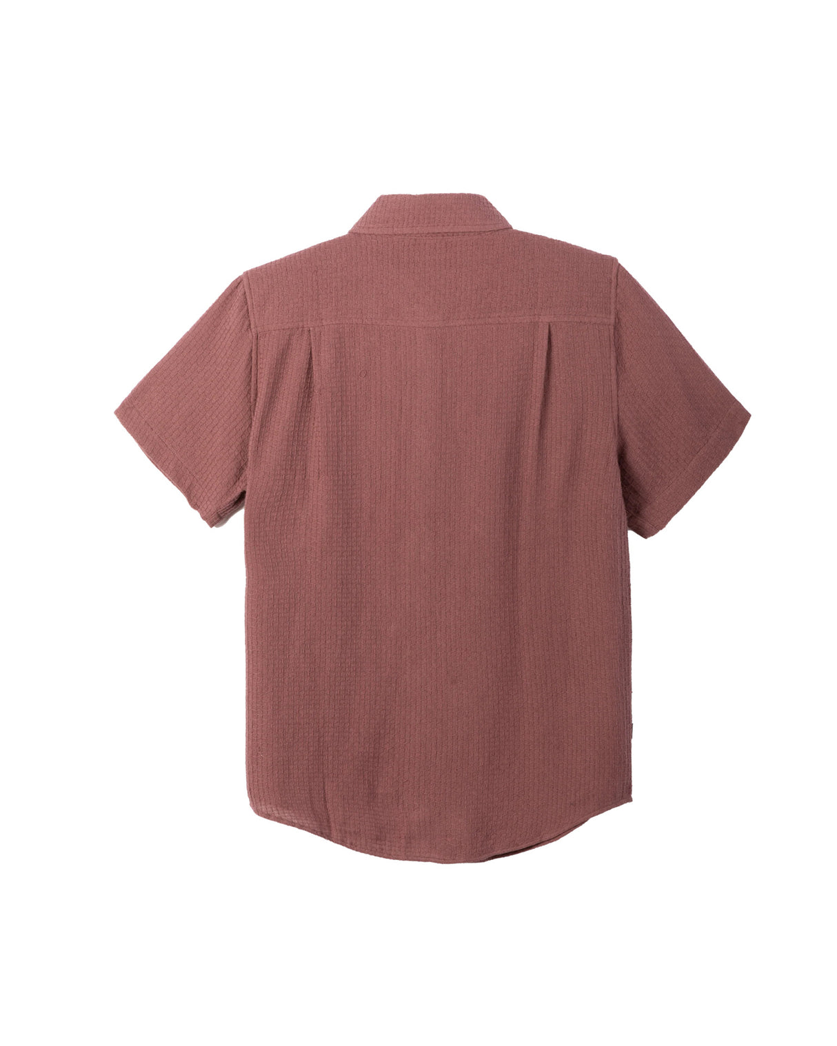 Tonal rose Rueckenansicht