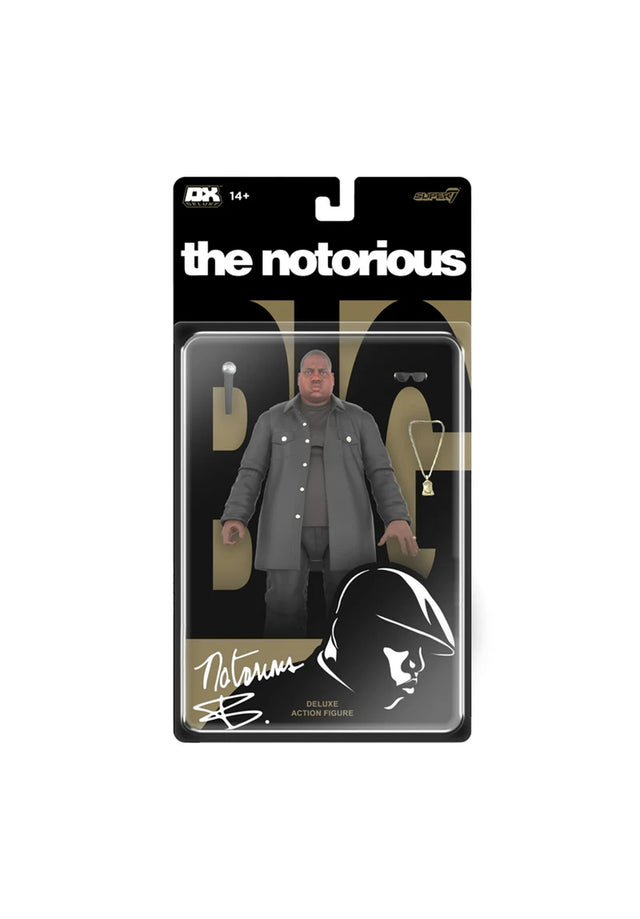Notorious B.I.G. Deluxe - Biggie multicolored Vorderansicht