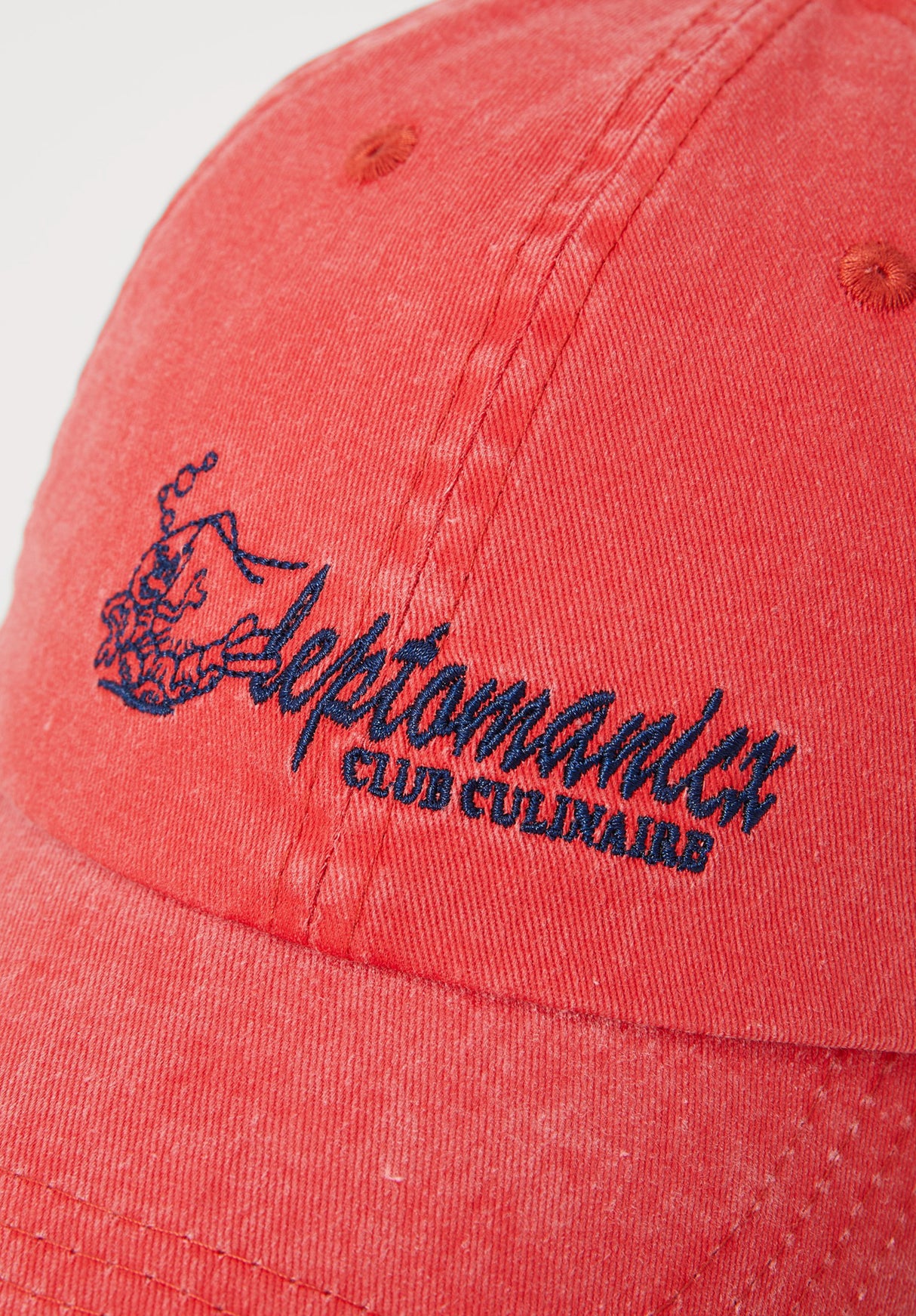 Club Cullinaire dubarry Closeup1