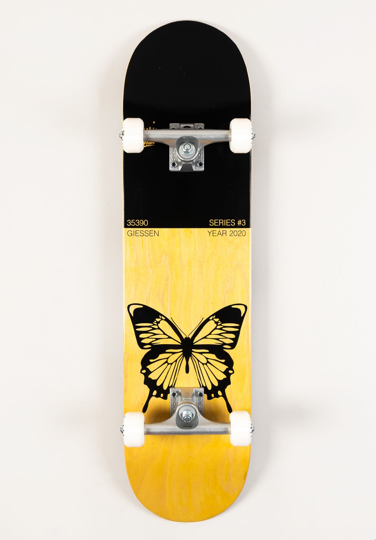 x Begoni Single Butterfly black-orange Vorderansicht