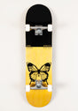 x Begoni Single Butterfly black-orange Vorderansicht