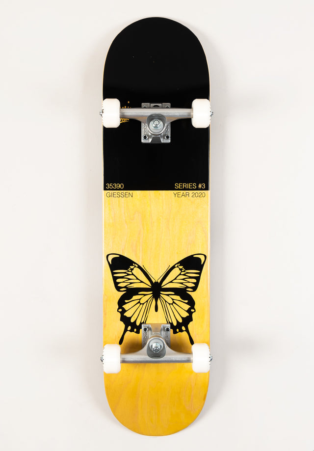 x Begoni Single Butterfly black-orange Vorderansicht