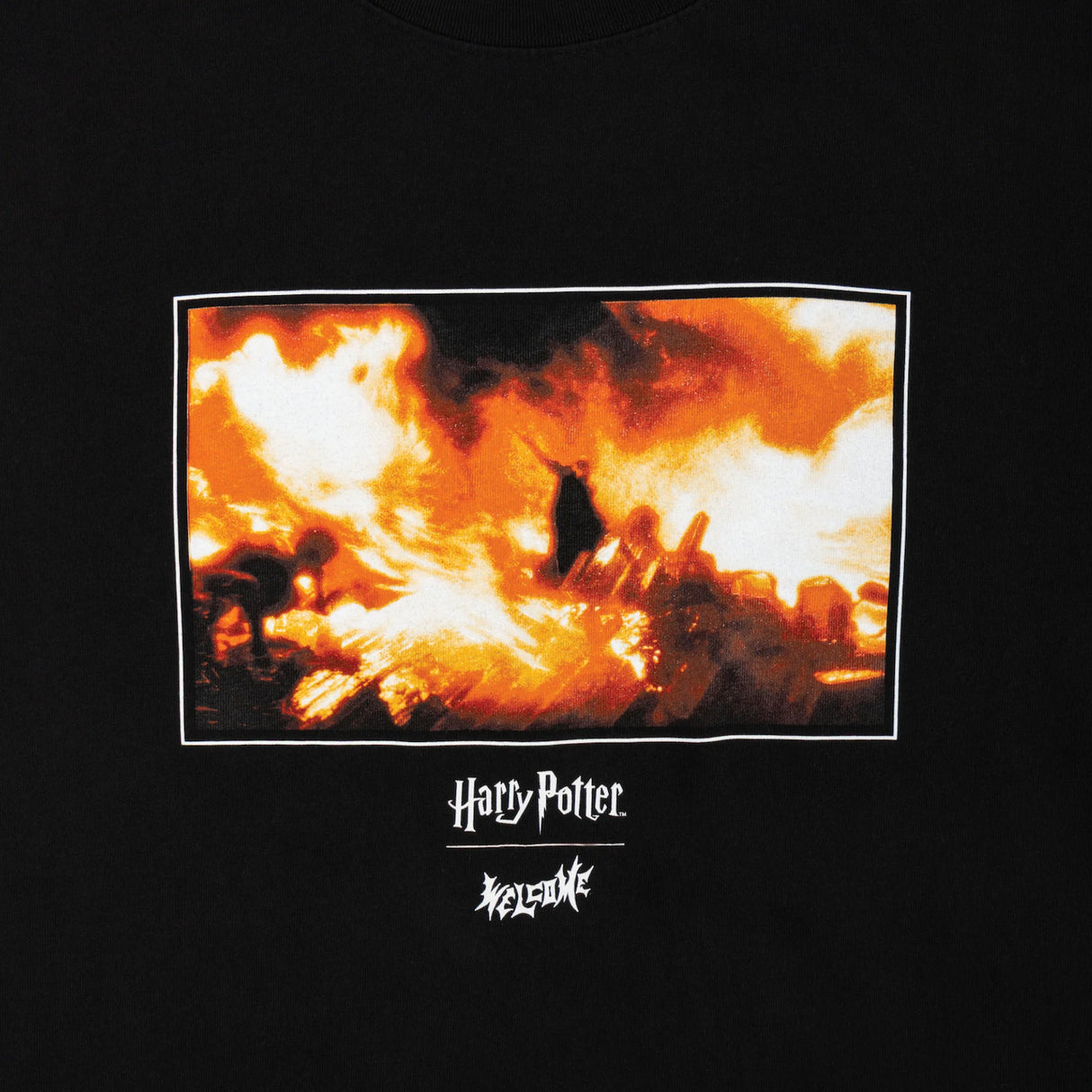 x Harry Potter Dumbledore black Closeup1