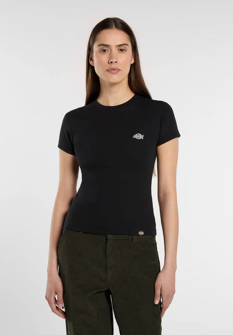 Dickies Gladeville T-Shirt black – Front view