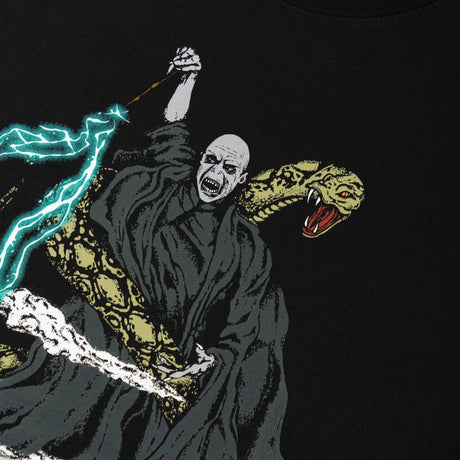 x Harry Potter Voldemort black Closeup2