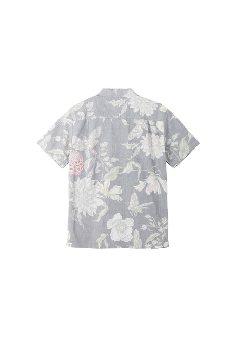 Hawkmoth black Rueckenansicht