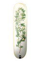McClung Bloom white-gold Vorderansicht