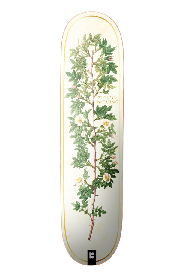McClung Bloom white-gold Vorderansicht