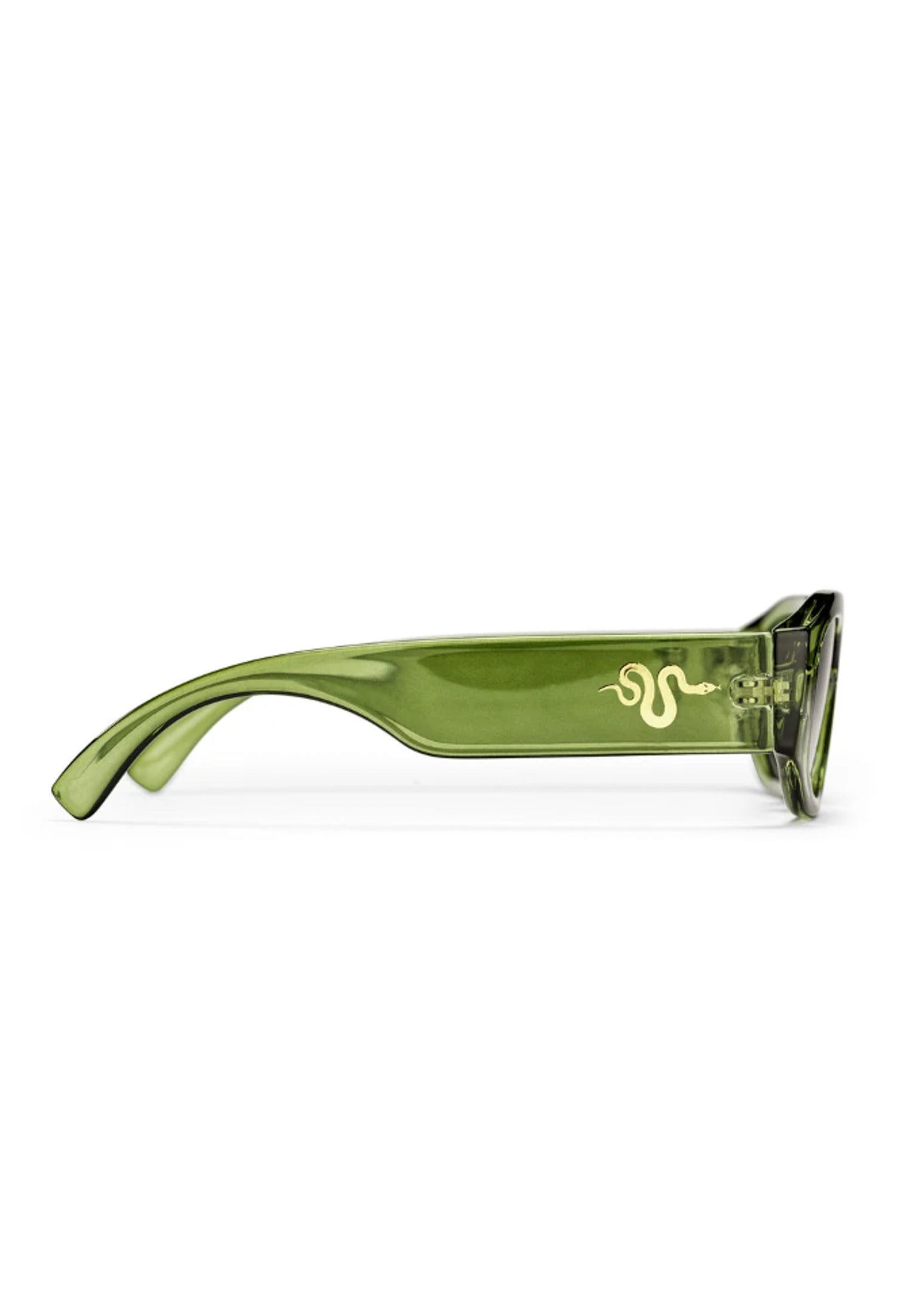 Brooklyn CHPO Sunglasses in forestgreen-green – TITUS