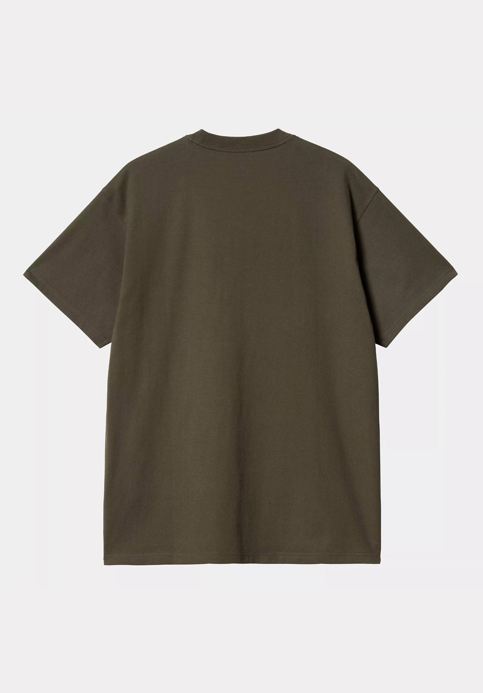 Script Embroidery Carhartt WIP T-Shirt in cypress-white for