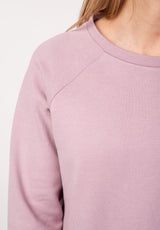 Flicka rose Close-Up2