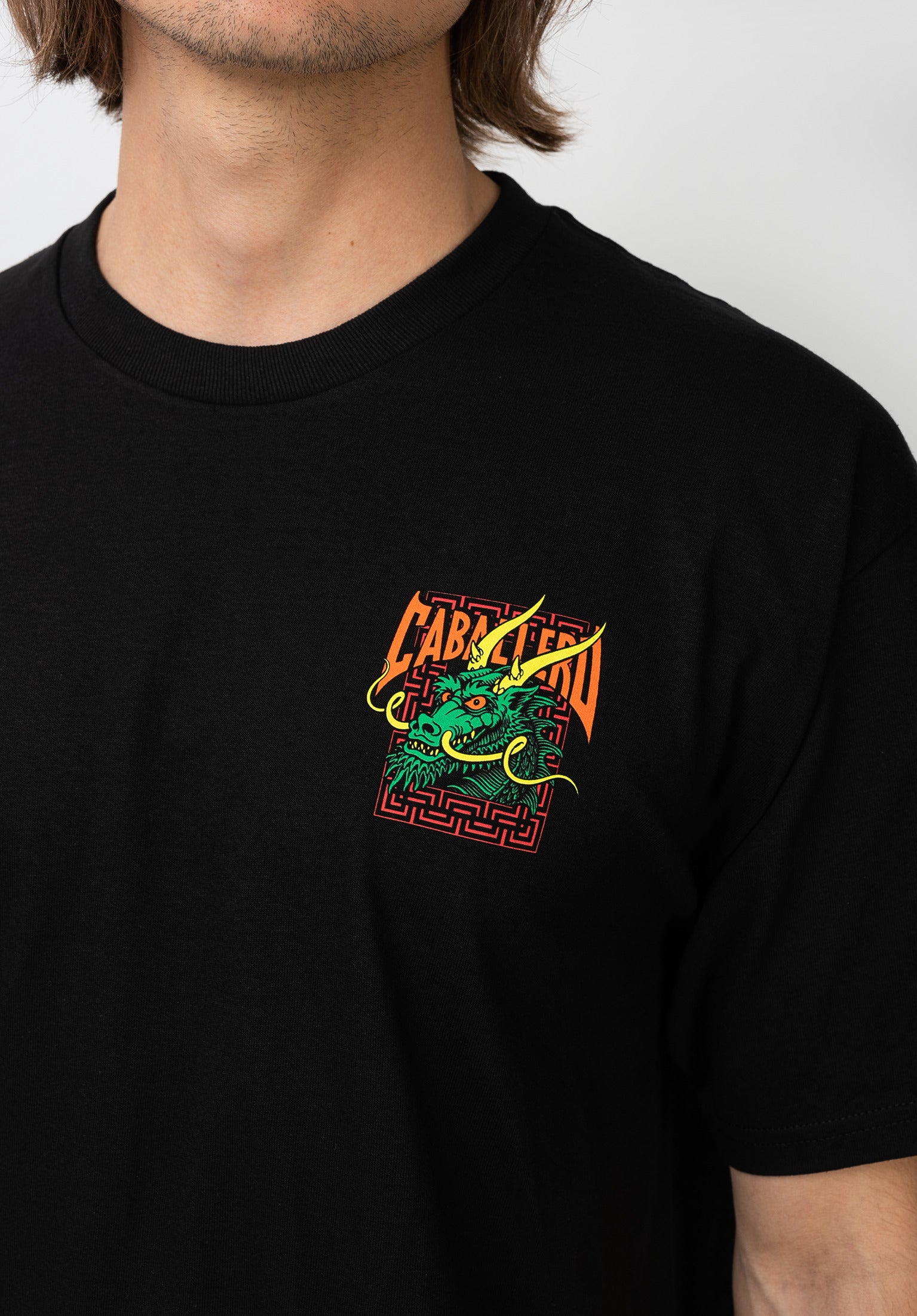 Caballero Street Dragon II Powell-Peralta T-Shirt in black for men