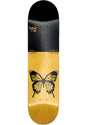 x Begoni Single Butterfly black-yellow Vorderansicht