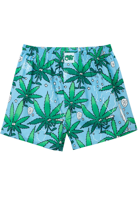 Weedy skyblue Vorderansicht