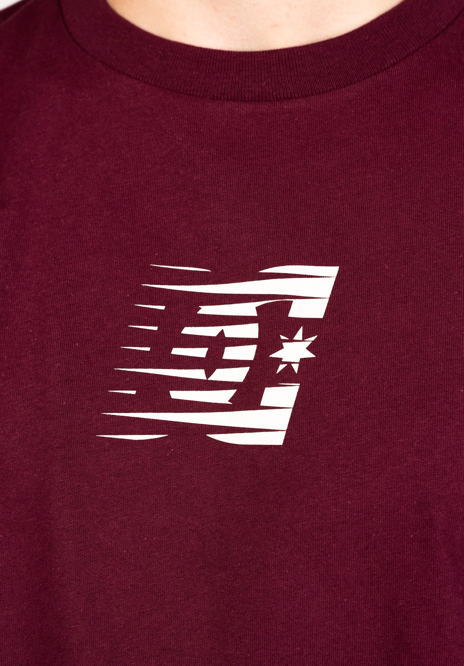 Wholesale DC Shoes T Shirt in wine for Men TITUS