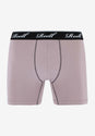 Trunks Boxershort purplethistle Vorderansicht