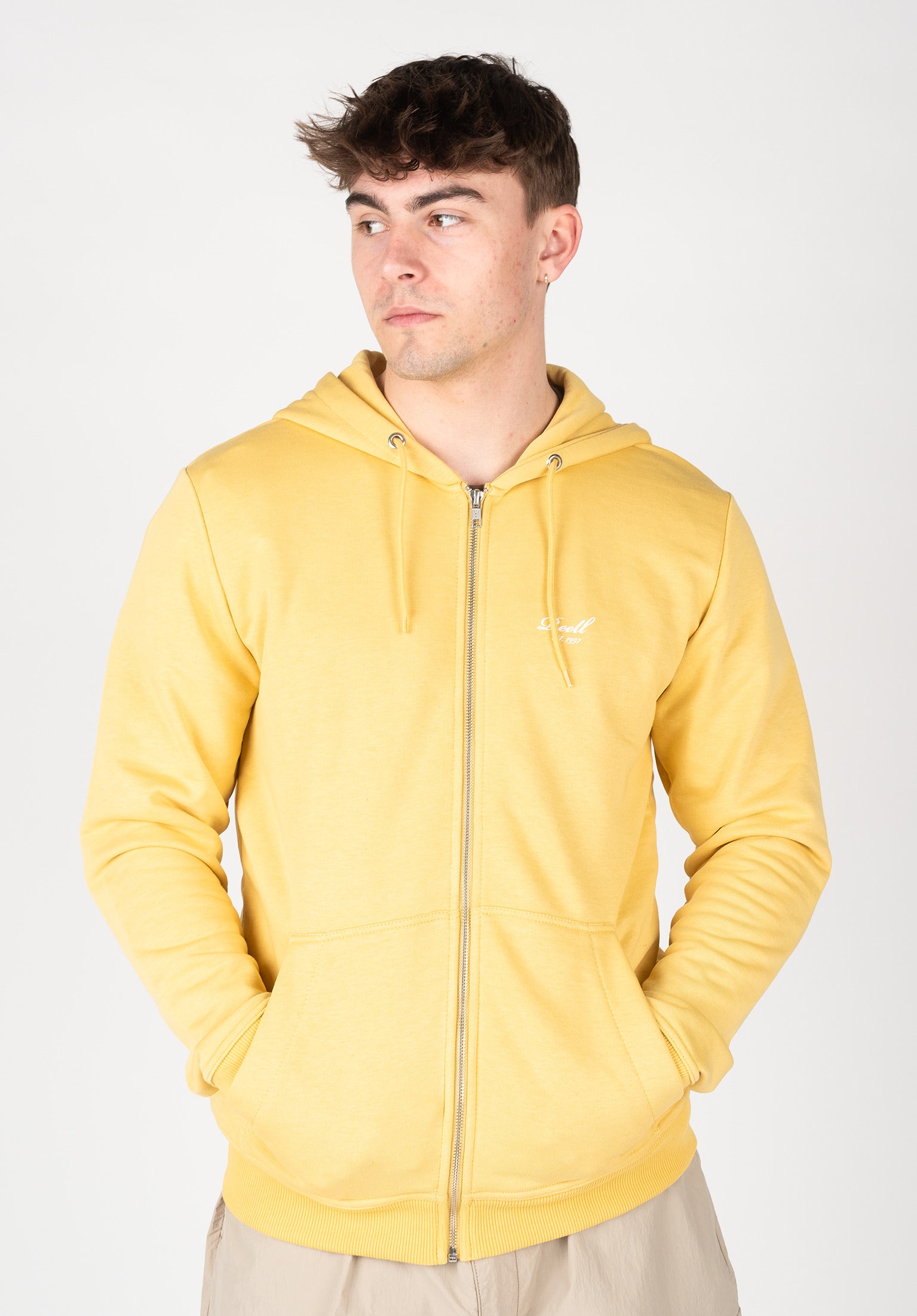 Sweat à Capuche Homme Rip Curl STAPLE HOOD Marron Sport 2000 - Ref