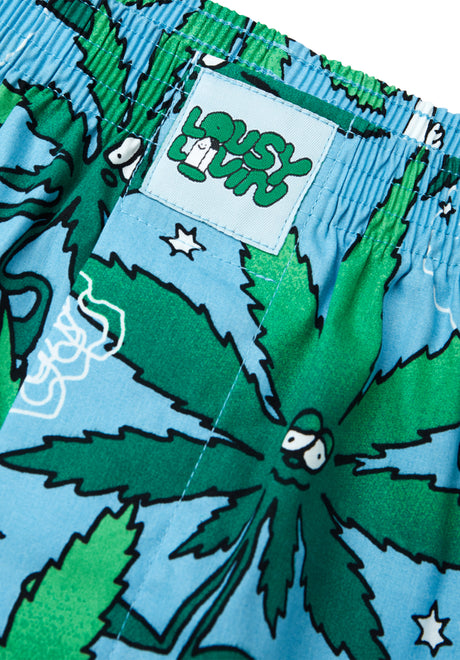 Weedy skyblue Rückenansicht
