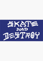 Skate and Destroy Medium Sticker blue Vorderansicht